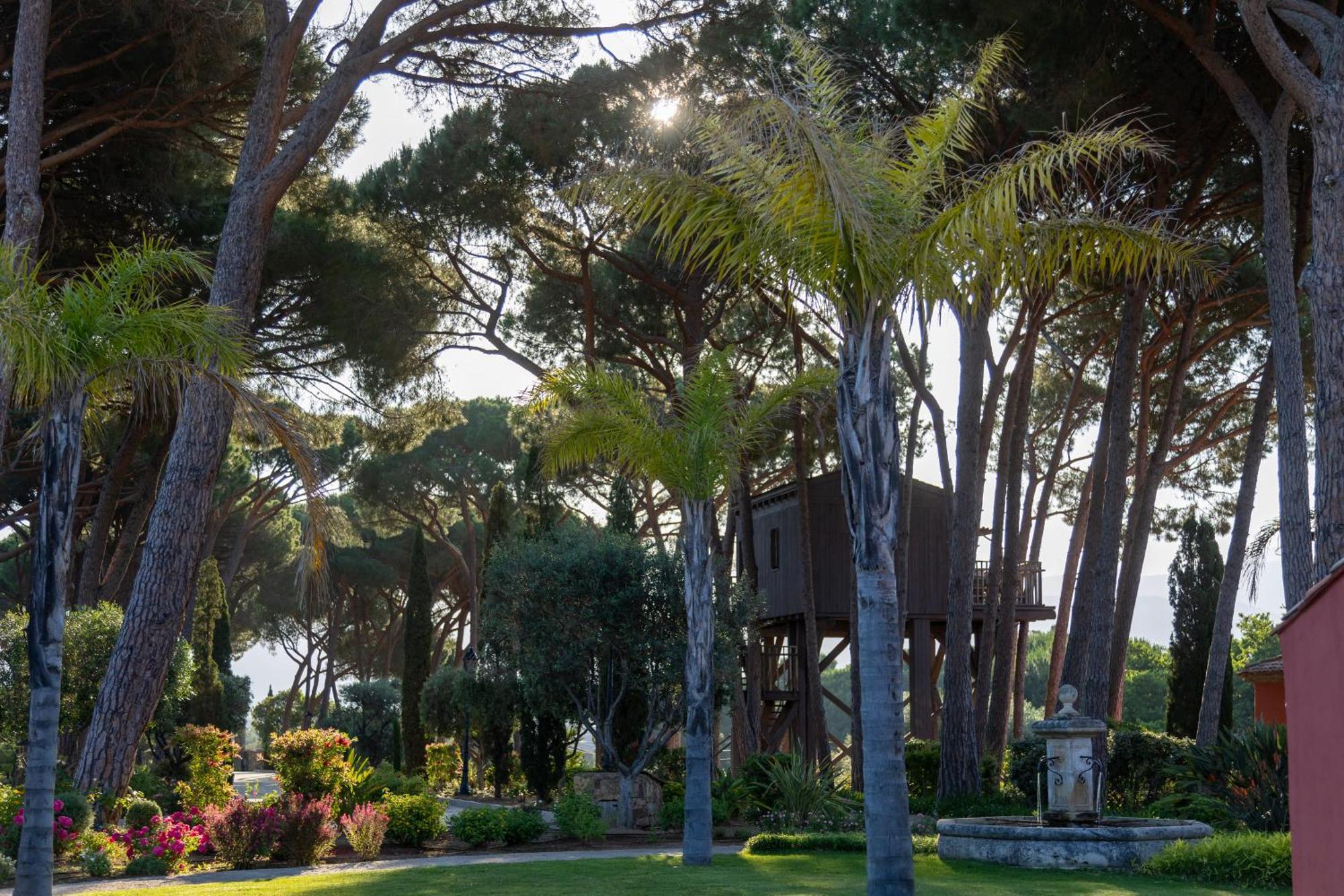 Hotel La Signoria Calvi  Exterior foto